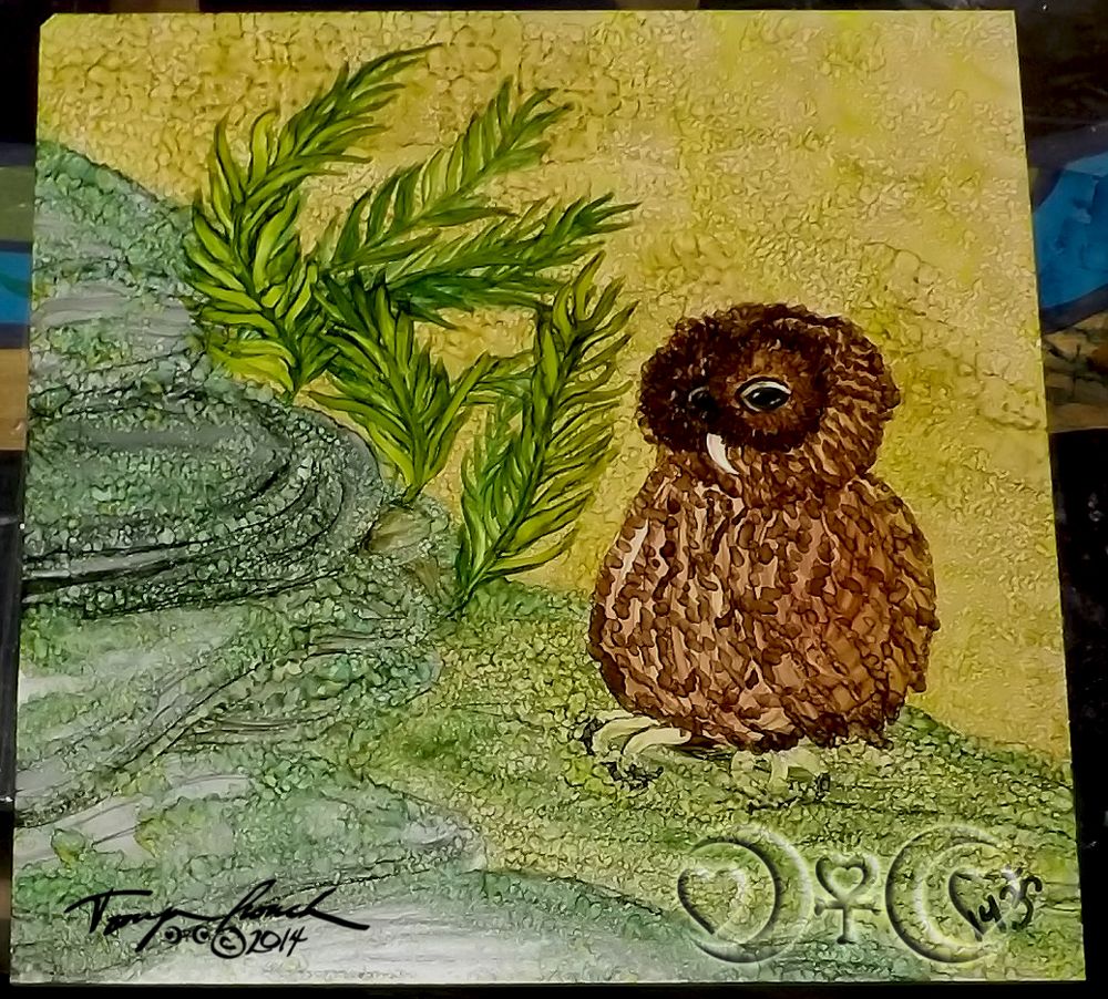 Owl\'s Mossy Adventure
