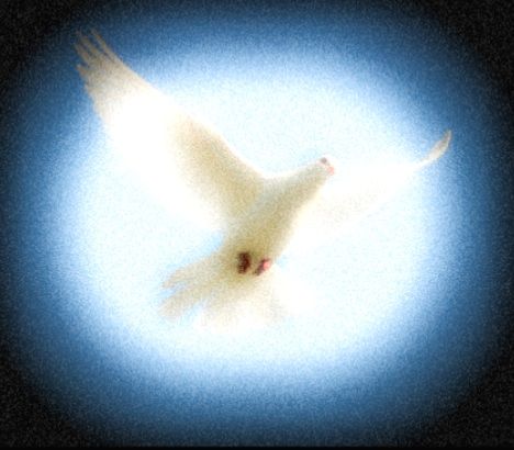 Holy Dove of The Infinite